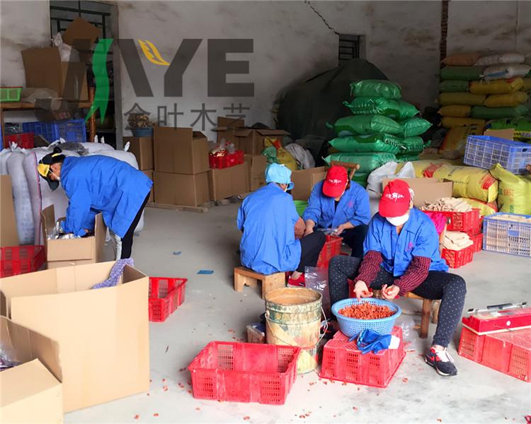 IMG_9062_副本_副本