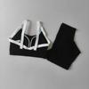 Conjunto de Roupa de Yoga Série Orelha de Gatinho de Alta Intensidade, Conjunto Esportivo de Duas Peças, Conjunto de Roupa de Yoga Feminino para Academia