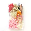 Kit de Materiais de Flores Secas Transfronteiriças DIY Flor Eterna Porta-Retrato Materiais Manuais para Fazer Decorações de Presente de Feriado Venda por Atacado de Fabricantes