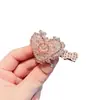 Pinza para el Cabello Rosa de Alta Gama con Cara Sonriente para Mujer, Decorada con Pedrería, Pinza de Pato de Acrílico, Pinza para Flequillo Lateral para el Viaje Diario