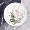 Um buquê de flores secas roxas, materiais de flores prensadas para DIY, flores reais para pintura com adesivos infantis, decoração DIY para porta-retratos, materiais de flores secas