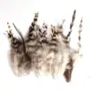 80 Tipos de Penas Naturais de Faisão, Penas Reais, Decorações Nativas Americanas, Acessórios DIY, Acessórios de Cabelo, Peças para Brinquedo de Vara para Gato