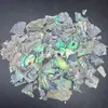 Abalone Natural de Nueva Zelanda Bei Pi Pi Joyería DIY Hecho a Mano Material de Incrustación Joyería Uñas Arte Laca Grande