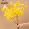 Flores Artificiais de Folha de Maçã Seca, Decoração de Casa, Buquês de Casamento, Paredes de Flores de Rosa, Flores Artificiais, Estilo Ins Transfronteiriço