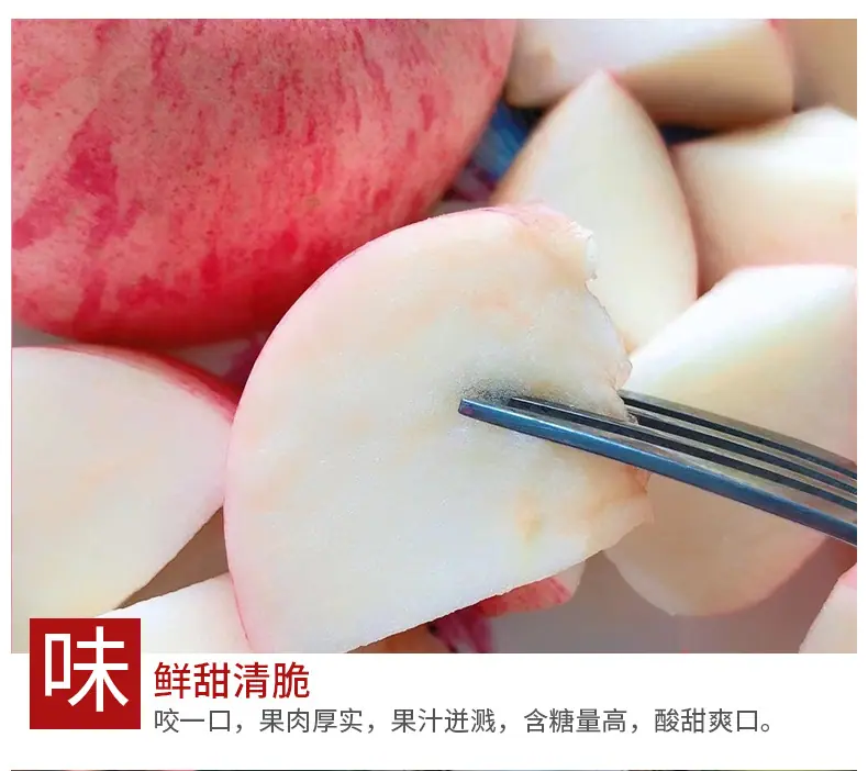 6(1)_09.jpg