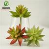 Simulación planta suculenta súper grande tamaño pequeño suculenta bonsái planta verde flor de plástico en maceta micro paisaje con pared vegetal