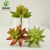 Planta Suculenta de Aloe Vera Simulada Qiangxin en Maceta Esquina Puntiaguda Espina Aloe Vera Flor de Plástico Planta Verde Artificial Flor de Plástico
