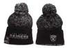 2025 Nuevo Gorro de Punto Cálido para Exteriores con Borrego Grueso Bordado Estilo Pareja Lana Gorro Invierno Eagle Raid