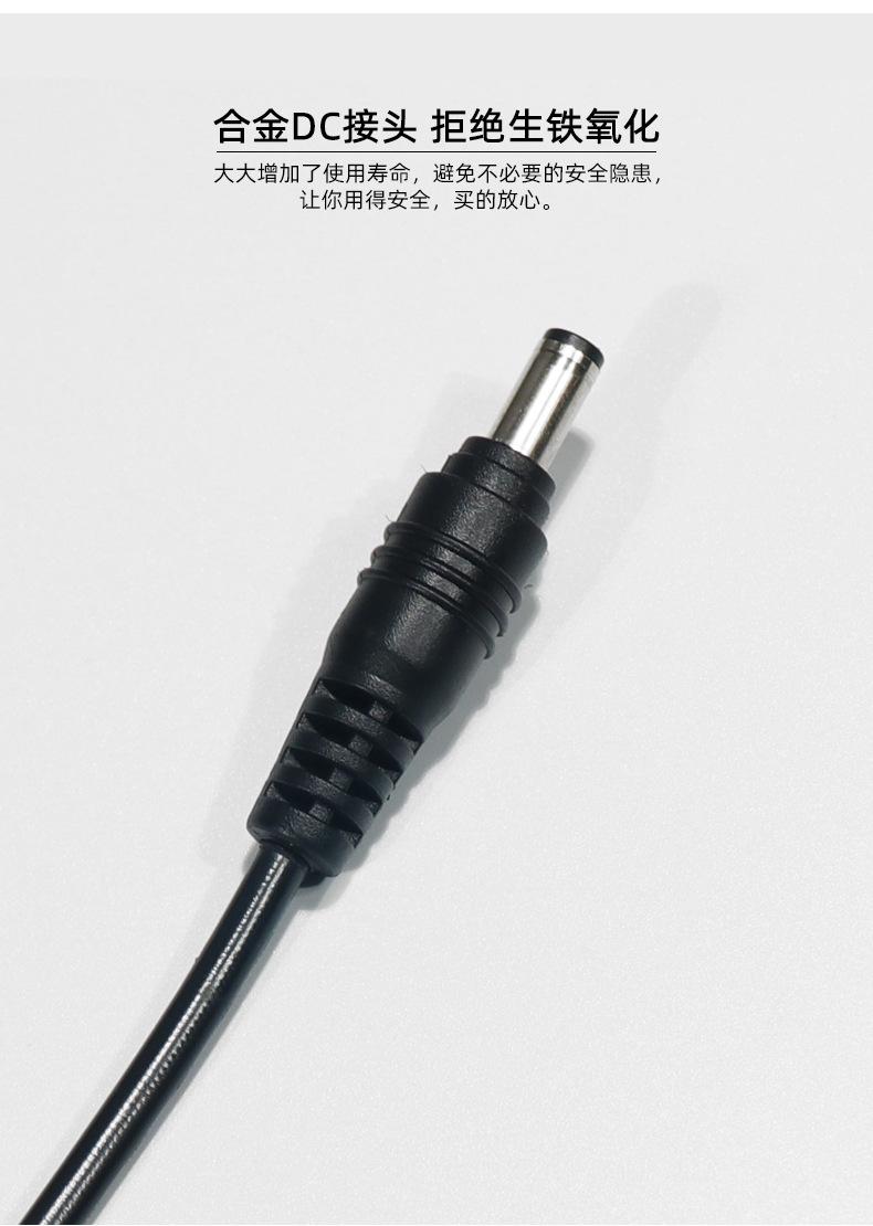 12V2A_07