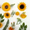 Simulação transfronteiriça 38 peças de girassol girassol grampo de cabelo flor material de flor saco DIY feito à mão adorno de cabeça faixa de cabelo chapéu flor decorativa