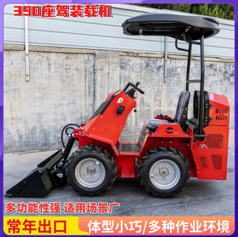 装载机 (21)