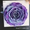Día de San Valentín Tanabata Material Flores Preservadas Cabeza de Rosa Inmortal Clase A 9-10cm Cabeza de Rosa Gigante Individual