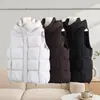 Nuevo Chaleco con Capucha Otoño/Invierno 2026, Holgado y Cálido, Chaleco de Algodón Versátil, Abrigo de Algodón para Mujer
