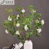 Flor artificial grande ramo Guanyin flor de folha de lótus casa paisagem sala de estar projeto de decoração suave hotel nórdico Zen flor falsa