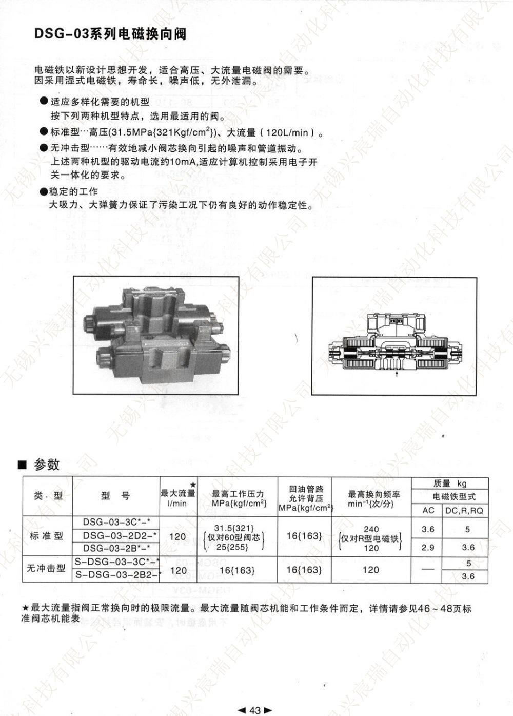 43 DSG-03.jpg