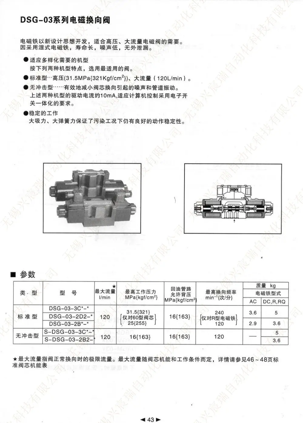 43 DSG-03.jpg