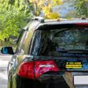 Ímã de Adesivo de Carro Mais Vendido Transfronteiriço Adesivo 'Se Você Buzinar Para Mim Eu Me Matarei'