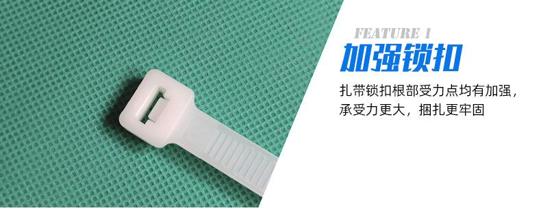 尼龙扎带_29
