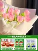 Tulipanes Hidropónicos al por Mayor 5 Grados Bulbos Grandes Resistentes al Frío para Invierno Interior/Exterior Fáciles de Cultivar para Principiantes Flores en Maceta Plantas