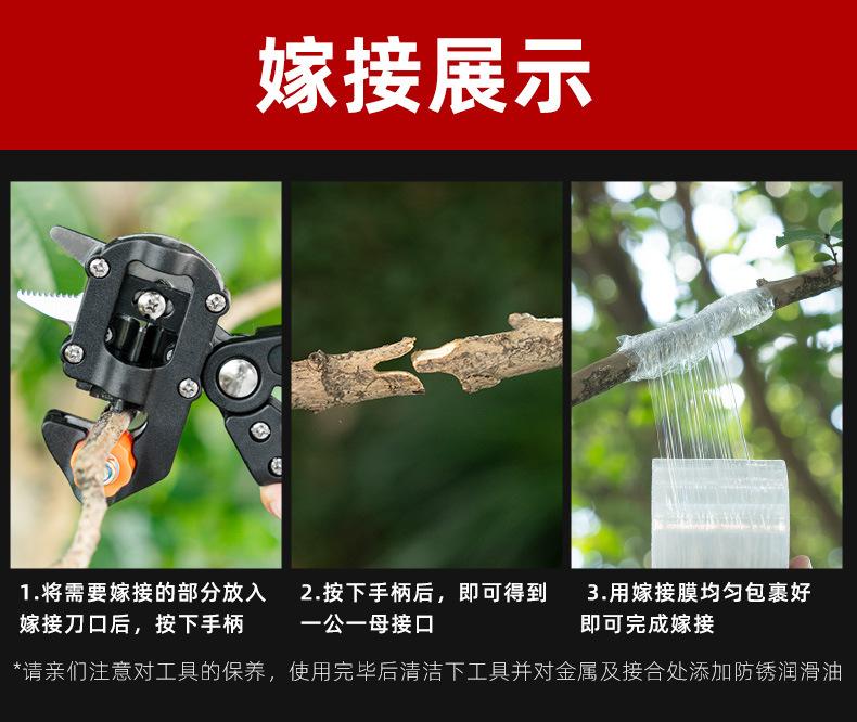 详情套版_12.jpg