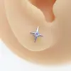 Pendientes de Aleación de Titanio F136 Estrella de Cuatro Puntas Diseño de Nicho G23 Tornillos para Cartílago de Oreja de Titanio Venta Directa de Fábrica de Alta Gama Exquisitos