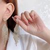 Brincos Europeus e Americanos Populares Transfronteiriços Super Brilhantes de Diamantes Completos com Borla de Flor Estilo Celebridade da Moda Luxo Leve Joias de Orelha Exageradas