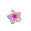 Presilha de Cabelo Gradiente Pérola Plumeria Transfronteiriça Europeia e Americana Presilha de Flor Presilha Lateral Presilha para Meio Preso Parte de Trás da Cabeça Presilha de Tubarão