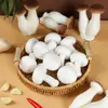 Al por mayor personalizado Modelo de Agaricus Bisporus simulado Champiñón Pleurotus Eryngii Champiñón Accesorios para fotografía Preescolar Materiales didácticos cognitivos