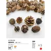 Virutas de Madera Cáscara de Nuez Material Planta Taibao Especimen Piña de Pino Paquete de Materiales de Flores Secas DIY Chen Mai Hecho a Mano Bellota Seca Marco de Fotos