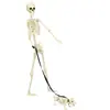 Decoración de Perro Esqueleto para Patio Exterior de Halloween 165cm Venta Caliente Transfronteriza Esqueleto de Perro Jardín Patio