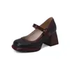 Sapatos Mary Jane Combinando Cores Bico Quadrado Salto Grosso Boca Rasa Tamanho Grande Sapatos Femininos Salto Alto Sapatos de Salto Único 7975-9