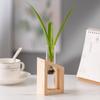 Venta al por mayor Triangular Trapezoidal Cuadrado Hidropónico Marco de Madera Jarrón Sala de Estar Adornos Decorativos Escritorio Pothos Jarrón de Vidrio Floral