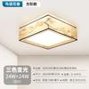 Nueva atmósfera de estilo chino sala de estar dormitorio estudio lámpara de techo impresión estilo chino moderno simple led habitación lámpara redonda