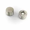 Tapa de Enchufe Hexagonal Galvanizada Niquelada Tapón de Tubería Tapón de Tornillo Tapón Ciego Tapón PT Tapón de Tornillo NPT 1/8/1/43/8/1/2 4