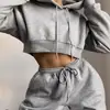 Venta Caliente 2022 Amazon Aliexpress Wish Talla Grande Trajes Deportivos y de Ocio para Mujer de Lana Europeos y Americanos Transfronterizos