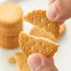 Biscoitos Redondos Pequenos Japoneses 100g Embalados Sal Marinho Biscoitos Redondos Pequenos Leite em Pó Sabor Salgado Lanches Casuais de Celebridade da Internet