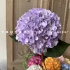 Hortensia Endless Summer de un solo tallo Impresa en 3D Encriptada Hortensia Grande Decoración para el Hogar Exhibición Fotografía Accesorios de Arte Floral Flores Artificiales