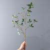 Simulación de hojas de té verde, hojas pequeñas de higuera, ramas falsas, flores artificiales transfronterizas, decoración del hogar, accesorios para fotos, adornos de plantas
