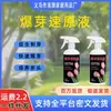 Solución Nutritiva Especial para Germinación Rápida de Bugambilias, Suculentas, Orquídeas y Árbol del Dinero