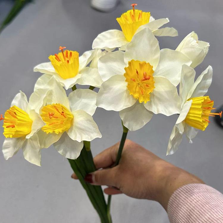 加密把束水仙花-黄心白.jpg