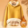 Moletom Grosso de Lã de Cordeiro para Inverno Transfronteiriço para Homens, Pulôver com Capuz, Cor Sólida, Blusa Quente para Estudantes, Forrado com Fleece, Cores da Moda para Homens