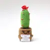 Plantas Engraçadas Transfronteiriças Transfronteiriças Energia Positiva Plantas em Vasos Boneca de Amor Crochê de Lã Feita à Mão Enfeites
