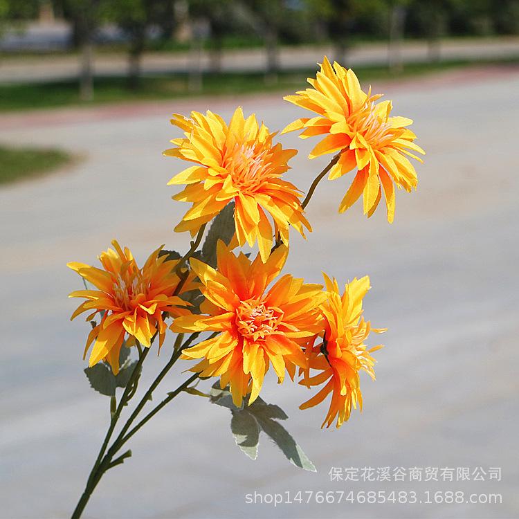 5头秋色小支大丽花-黄色_副本.jpg