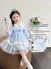 Vestido de Niña Aisha Primavera y Otoño 2026 Nuevo de Moda Vestido de Princesa Infantil Malla para el Primer Cumpleaños del Bebé