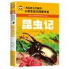 71 Volumes Série Famosa do Professor da Sala de Aula Escolar A História dos Caracteres Chineses