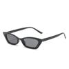 Gafas de Sol de Marco Pequeño Nuevas 2021 Moda Europea y Americana Populares en Internet Sesión de Fotos Callejeras Gafas Ojo de Gato Personalizadas Gafas de Sol de Color Gelatina para Mujer
