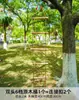 Escada de corda para escalada infantil escada de treinamento de escalada material infantil teto suspenso esportes multi-funcional educação infantil aptidão física ao ar livre