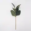 Amazon Transfronterizo Planta Verde Artificial Hojas de Plástico Hojas de Eucalipto Artificiales Tallos de Eucalipto Ramas Cortas de Dólar de Plata Decoración de Hojas
