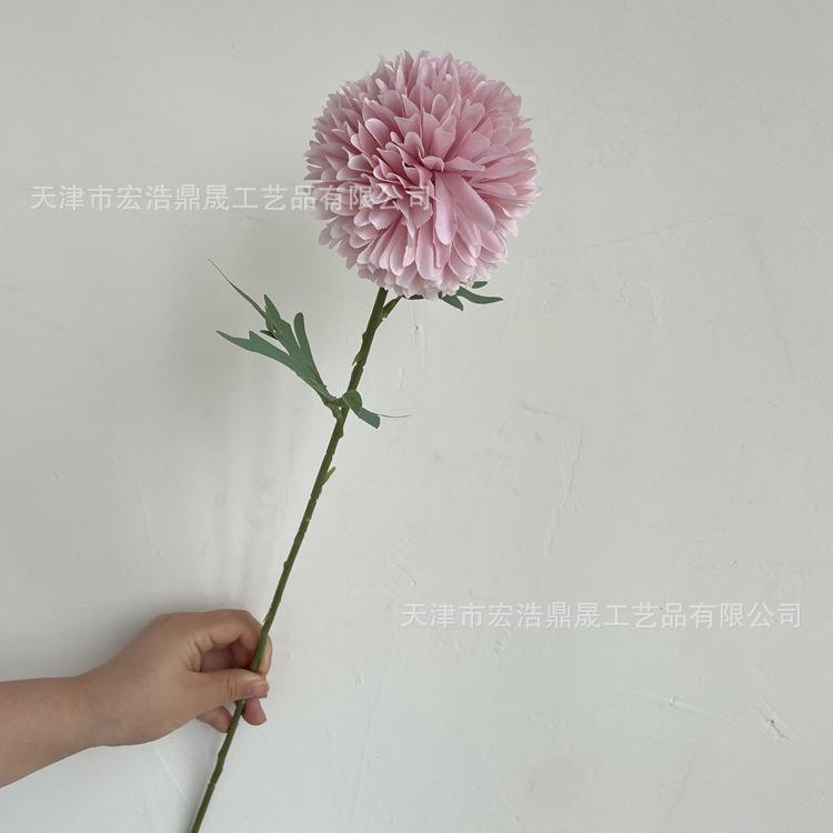 微信图片_202206141501377_副本