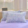 2024 Funda de Almohada Algodón Puro Funda de Almohada Toda de Algodón Funda para Relleno de Almohada del Hogar Paquete Doble Fabricante de Nantong Venta al Por Mayor Amigable para Dormir Extraíble y Lavable